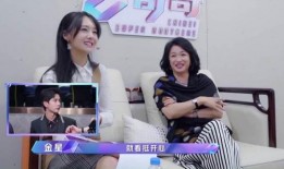 金星娱乐圈吃瓜视频,揭秘明星幕后故事，吃瓜视频带你领略娱乐圈风云变幻